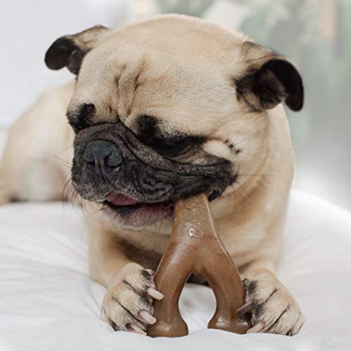 Benebone Indestructible Wishbone Dog Chew Toy for Aggressive Chewers, Long Lasting Tough Boredom Breaker for Dogs, Real Bacon Flavour, For Medium Dogs
