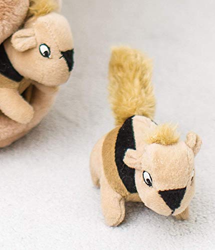 Outward Hound Hide A Squirrel Plush Dog Toy Puzzle