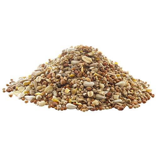 Peckish 60051246 Complete Seed and Nut No Mess Wild Bird Food Mix