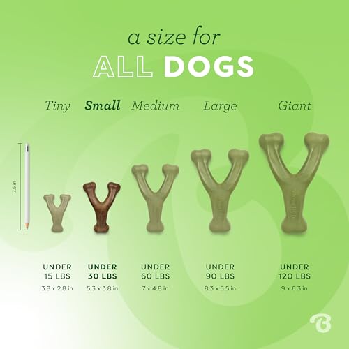 Benebone Indestructible Wishbone Dog Chew Toy for Aggressive Chewers, Long Lasting Tough Boredom Breaker for Dogs, Real Bacon Flavour, For Medium Dogs