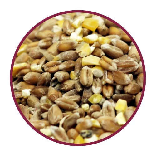 Copdock Mill Mixed Corn Chicken Feed with Verm-X 5L Tub - Chicken Food Made with Wheat & Maize - Verm-X Herbal Chicken Wormer - Suitable for Poultry, Ducks, Geese & Bantams
