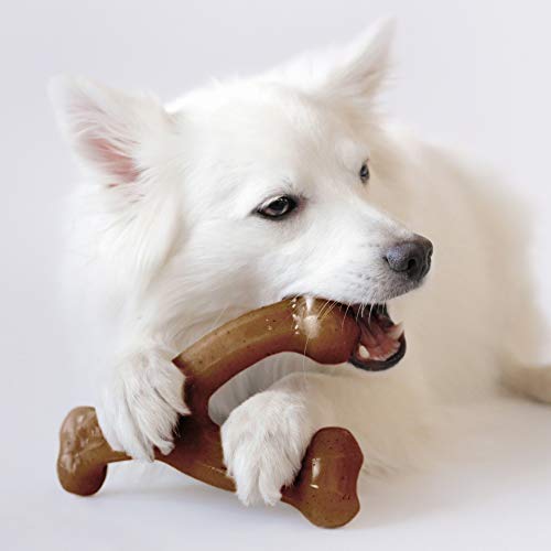 Benebone Indestructible Wishbone Dog Chew Toy for Aggressive Chewers, Long Lasting Tough Boredom Breaker for Dogs, Real Bacon Flavour, For Medium Dogs