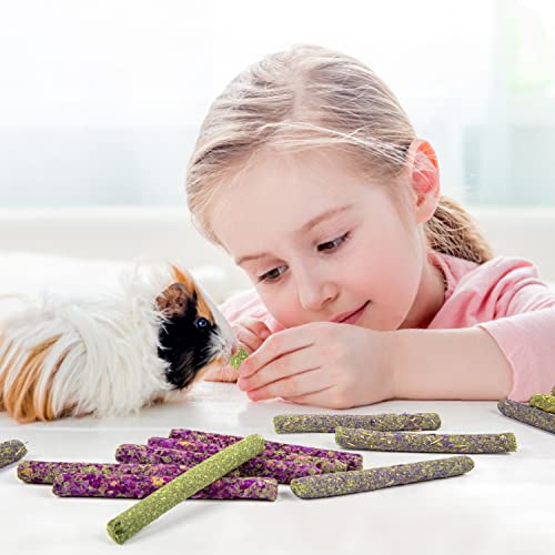 Labeol Rabbit Chew Toys 32 Pcs Timothy Hay Sticks Natural Small Animals Treat for Rabbits Guinea Pig Hamsters Chinchilla Rabbit Accessories Boredom Breaker