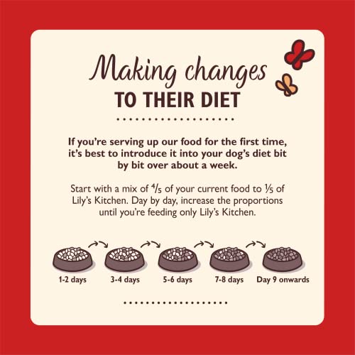 Lily's Kitchen Natural Adult Dry Dog Food Chicken & Duck Grain-Free Recipe