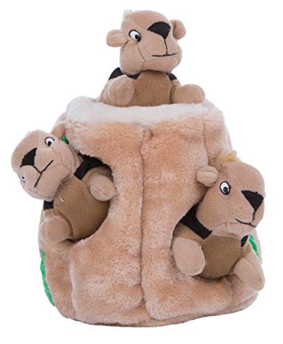 Outward Hound Hide A Squirrel Plush Dog Toy Puzzle