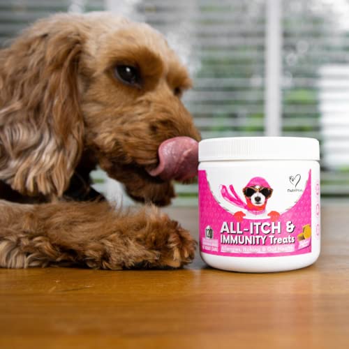 NutriPaw All-Itch Immunity Treats For Dogs - Soothe Itchy Paws, Eyes, Ears, Skin - Stop Itching, Licking, Scratching - Perfect for Small, Medium & Large Dogs - Supports Seasonal Itching