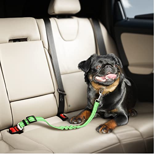 Seat Belt for dogs with Anti shock Bungee Buffer One of Important Car Travel Accessories for Dogs Adjustible, Elastic