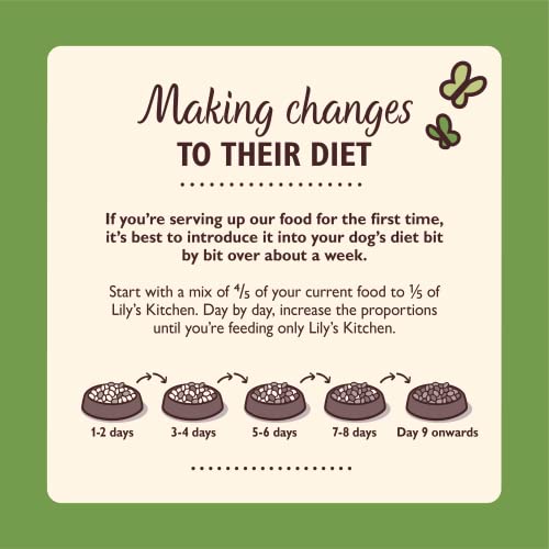 Lily's Kitchen Natural Adult Dry Dog Food Chicken & Duck Grain-Free Recipe