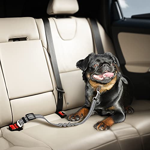 Seat Belt for dogs with Anti shock Bungee Buffer One of Important Car Travel Accessories for Dogs Adjustible, Elastic