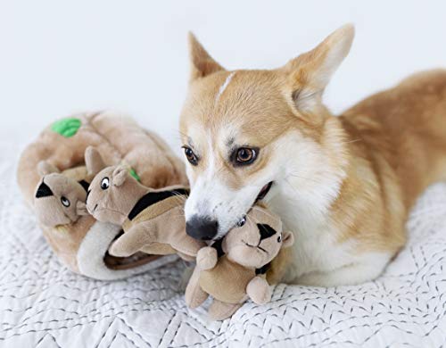 Outward Hound Hide A Squirrel Plush Dog Toy Puzzle