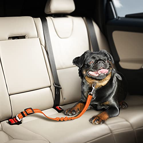 Seat Belt for dogs with Anti shock Bungee Buffer One of Important Car Travel Accessories for Dogs Adjustible, Elastic