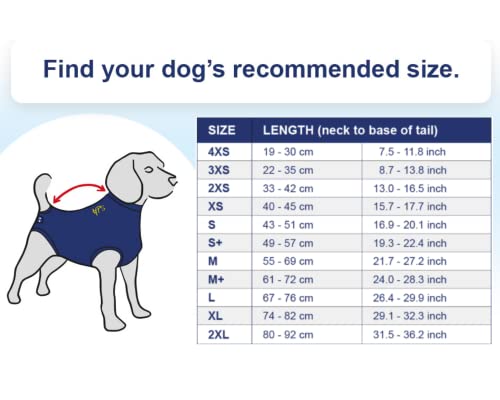 MPS Medical Pet Shirt Dog, Surgery Recovery Suit