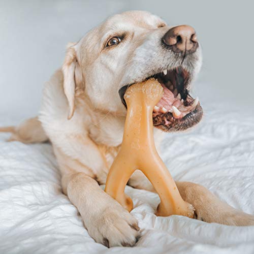Benebone Indestructible Wishbone Dog Chew Toy for Aggressive Chewers, Long Lasting Tough Boredom Breaker for Dogs, Real Bacon Flavour, For Medium Dogs