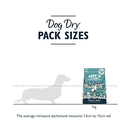 Lily's Kitchen Natural Adult Dry Dog Food Chicken & Duck Grain-Free Recipe