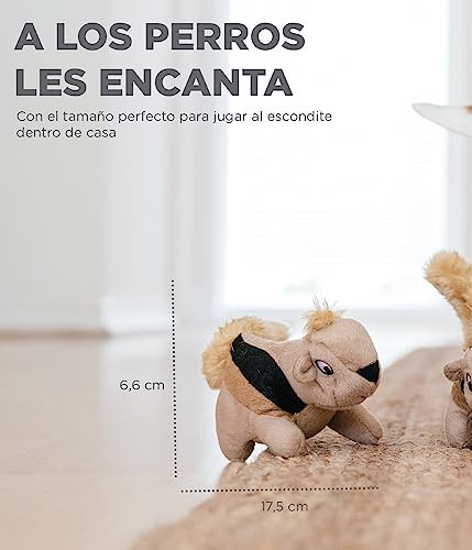 Outward Hound Hide A Squirrel Plush Dog Toy Puzzle