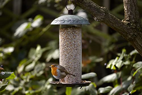 Peckish 60051246 Complete Seed and Nut No Mess Wild Bird Food Mix