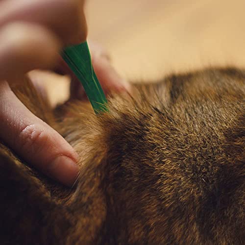 FRONTLINE Spot On Flea & Tick Treatment for Cats