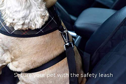 Dog Car Seat with Safety Harness Seat Belt - Pet Puppy Waterproof Travel Dog Car Seat Protector Cover Car Accessories