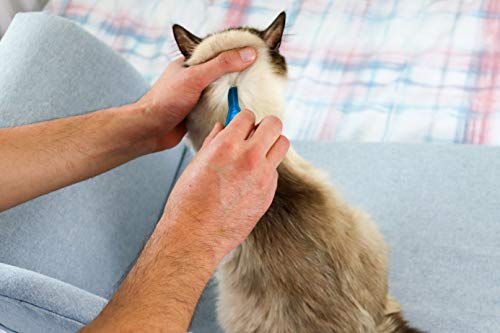 FRONTLINE Spot On Flea & Tick Treatment for Cats