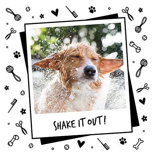 Dog Shampoo by Bugalugs lavender & chamomile 4 in 1 dog grooming shampoo products for smelly dogs with fragrance, best puppy shampoo, professional groom Vegan pet shampoo & conditioner