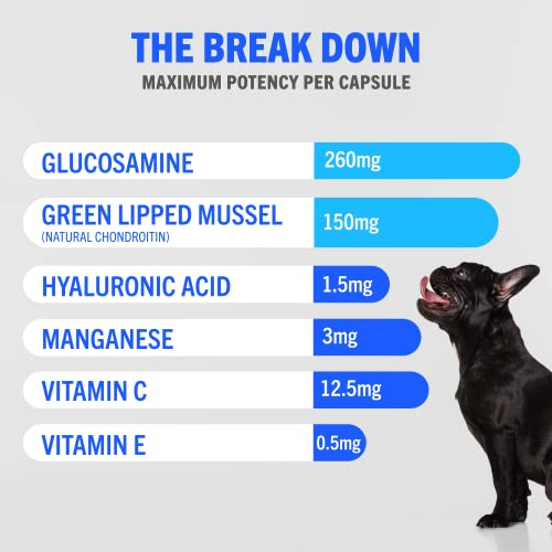 JOINTSURE Joint Support Supplements for Dogs ā 300 Tabs, Aids Stiff Joints, Supports Joint Structure & Maintains Mobility in Adult/Senior Dogs | Advanced Formula Helps Arthritis Relief