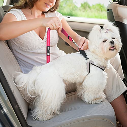 Seat Belt for dogs with Anti shock Bungee Buffer One of Important Car Travel Accessories for Dogs Adjustible, Elastic