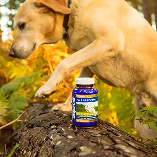 Flex A Joint for Pets. Glucosamine for Dogs and Cats Plus Chondroitin and MSM. 180 'Split and Pour' Capsules.