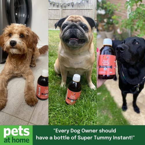 Buddy & Lola Fast-Acting Dog Diarrhea Treatment with Electrolytes - 20 Servings - Tummy Settler For Dogs All Breeds, Sizes and Ages - Syringe Included
