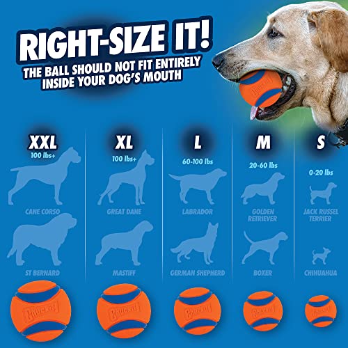 ChuckIt! Ultra Ball Dog Toy, Durable High Bounce Floating Rubber Dog Ball, Launcher Compatible Toy For Dogs