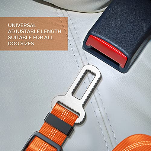 Seat Belt for dogs with Anti shock Bungee Buffer One of Important Car Travel Accessories for Dogs Adjustible, Elastic