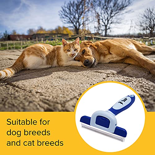 Thunderpaws Best Professional Deshedding Tool and Pet Grooming Brush – D-Shedz for Small, Medium and Large Breeds of Dogs and Cats with Short or Long Hair
