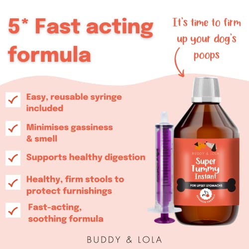 Buddy & Lola Fast-Acting Dog Diarrhea Treatment with Electrolytes - 20 Servings - Tummy Settler For Dogs All Breeds, Sizes and Ages - Syringe Included