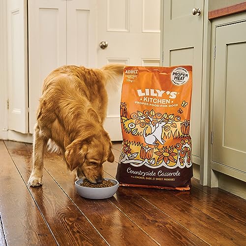 Lily's Kitchen Natural Adult Dry Dog Food Chicken & Duck Grain-Free Recipe