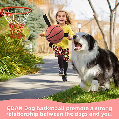 HETOO Dog Toys, Interactive Dog Football Toys with Grab Tabs, Durable Dog Balls for Small Medium Breed Dog Water Toy Indoor & Outdoor, Gift for Dogs
