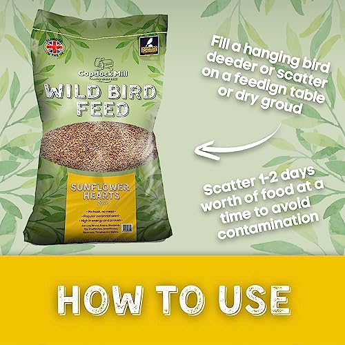 Copdock Mill Sunflower Hearts Bird Food 3.2kg / 5L Tub – No Mess Sunflower Hearts for Wild Birds – Bird Seed Suitable for Sunflower Seeds Feeders & Bird Tables
