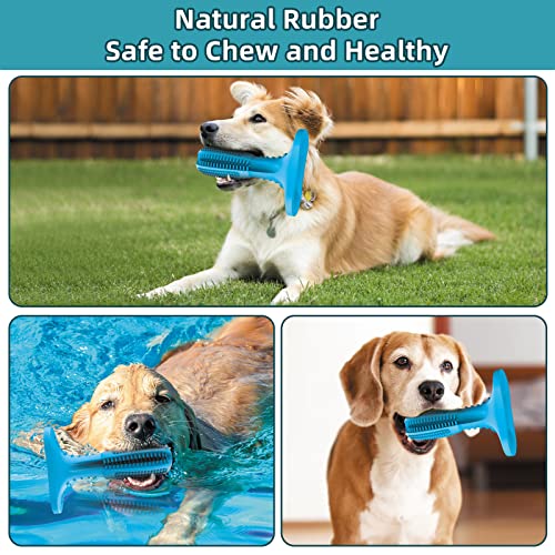 RUCACIO Dog Chew Toys, Tough Durable Dog Toothbrush Toys, Outdoor Interactive Dog Toys Dogs Dental Care Teeth Cleaning Toy, Puppy Dog Birthday Gifts