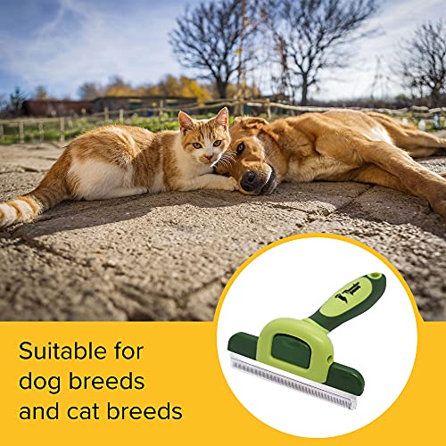 Thunderpaws Best Professional Deshedding Tool and Pet Grooming Brush – D-Shedz for Small, Medium and Large Breeds of Dogs and Cats with Short or Long Hair