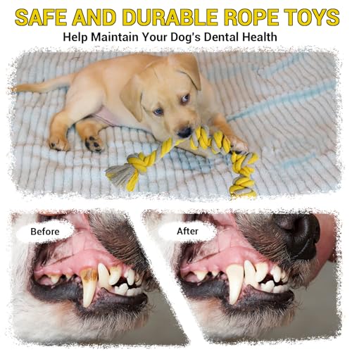 ROSAUI Dog Toys, 2PCS Plush Squeaky Cockatoo Dog Toy - Interactive and Dental Cleaning Pet Chew Toy for All Breed Sizes Dog