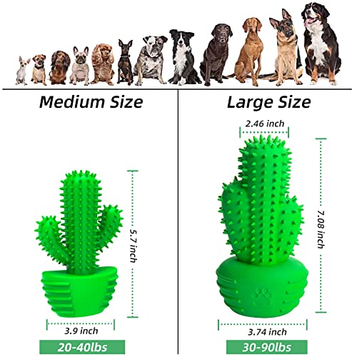 RUCACIO Dog Chew Toys, Tough Durable Dog Toothbrush Toys, Outdoor Interactive Dog Toys Dogs Dental Care Teeth Cleaning Toy, Puppy Dog Birthday Gifts