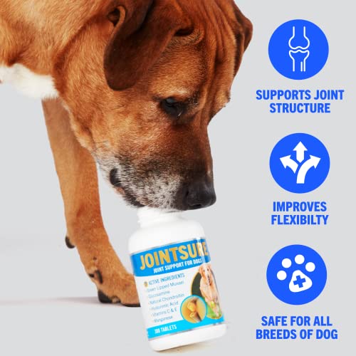 JOINTSURE Joint Support Supplements for Dogs ā 300 Tabs, Aids Stiff Joints, Supports Joint Structure & Maintains Mobility in Adult/Senior Dogs | Advanced Formula Helps Arthritis Relief