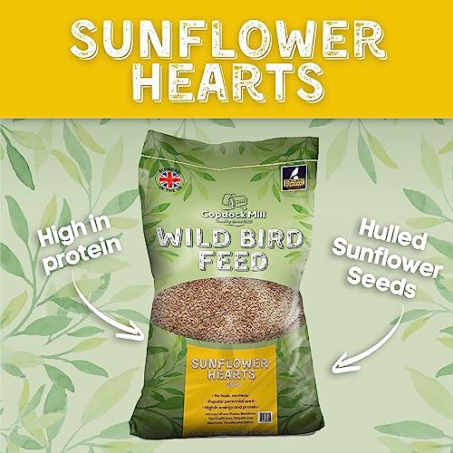 Copdock Mill Sunflower Hearts Bird Food 3.2kg / 5L Tub – No Mess Sunflower Hearts for Wild Birds – Bird Seed Suitable for Sunflower Seeds Feeders & Bird Tables