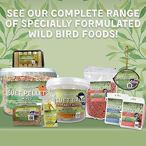 Copdock Mill Wild Bird Seed & Grain Mix 20kg Bag – All Year-Round High-Energy Wild Bird Food – 100% Natural Ingredients Including Sunflower Seeds and Peanuts