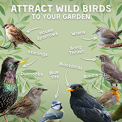 Copdock Mill Wild Bird Seed & Grain Mix 20kg Bag – All Year-Round High-Energy Wild Bird Food – 100% Natural Ingredients Including Sunflower Seeds and Peanuts