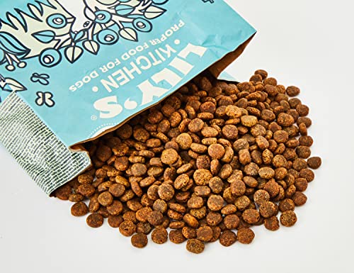 Lily's Kitchen Natural Adult Dry Dog Food Chicken & Duck Grain-Free Recipe