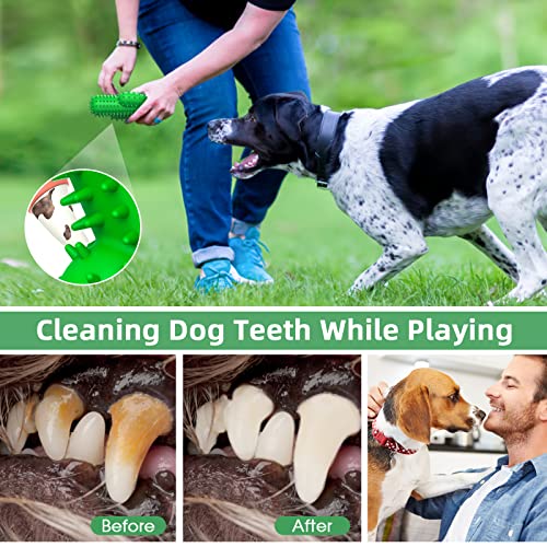 RUCACIO Dog Chew Toys, Tough Durable Dog Toothbrush Toys, Outdoor Interactive Dog Toys Dogs Dental Care Teeth Cleaning Toy, Puppy Dog Birthday Gifts