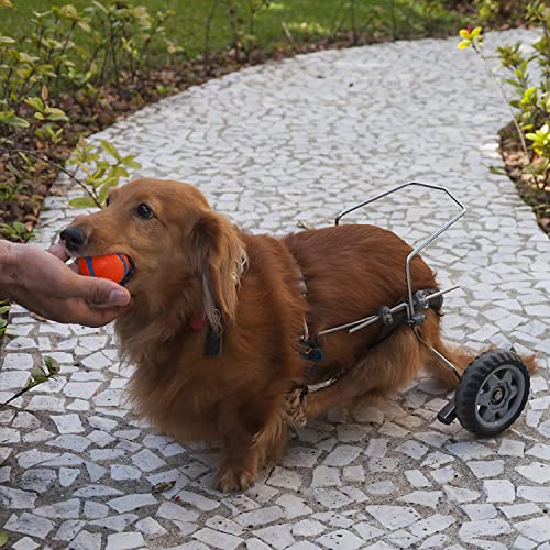 ChuckIt! Ultra Ball Dog Toy, Durable High Bounce Floating Rubber Dog Ball, Launcher Compatible Toy For Dogs