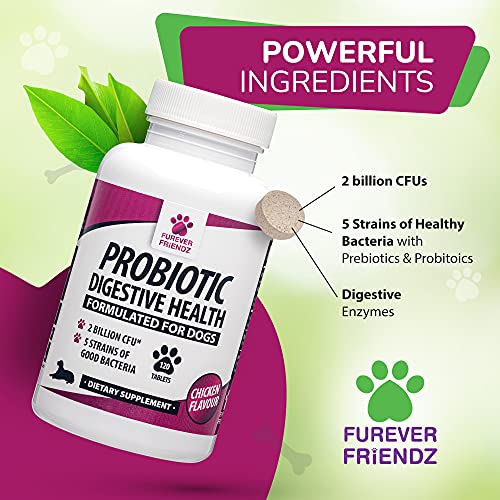 Pet Probiotics for Dogs Tablet – Chicken Flavour Dog Digestive Supplements with Enzymes, Bromelain & Prebiotic for Dogs – No Gluten, GMO, Soy or Dairy – Dog Probiotic by Furever Friendz