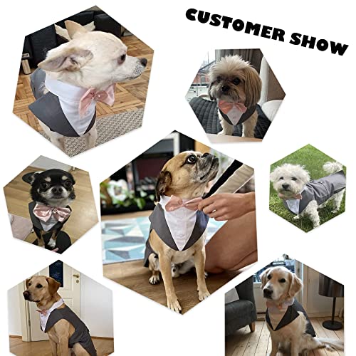 Dog Tuxedo Suit, Dog Clothes Coton Wedding Party Costume Puppy Formal Outfit Festival Shirt Coat Apparel with Detachable Bow Tie Bandana