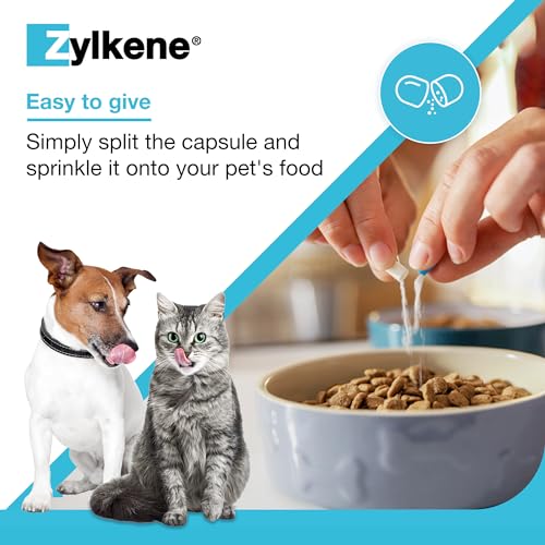 Zylkene Calming Supplements for Cats & Dogs up to 10kg 75mg | Promotes Relaxation | Helps Pets cope with Short-Term challenging situations: Loud Noises | Easily Administered | Capsules
