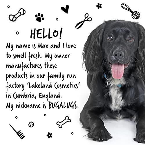Dog Shampoo by Bugalugs lavender & chamomile 4 in 1 dog grooming shampoo products for smelly dogs with fragrance, best puppy shampoo, professional groom Vegan pet shampoo & conditioner